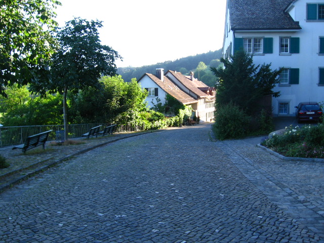 a driveway surrounded by trees and a building with a red roof