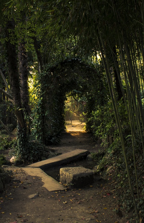 the pathway is surrounded by green foliage