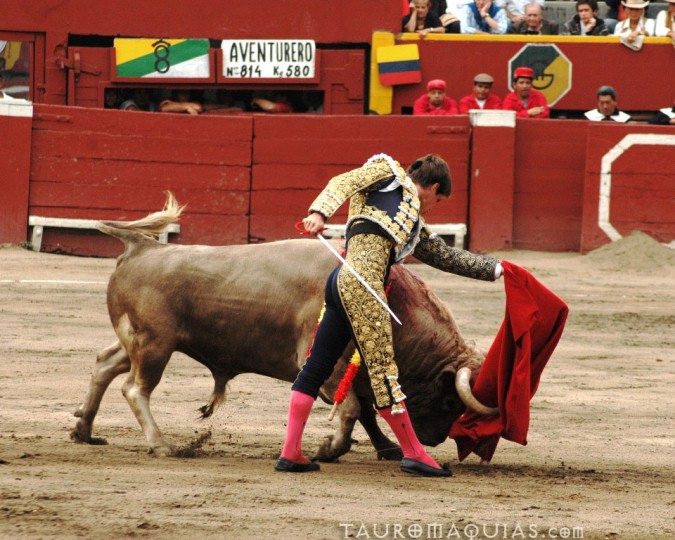 a person is being dragged by a bull at a bullfight