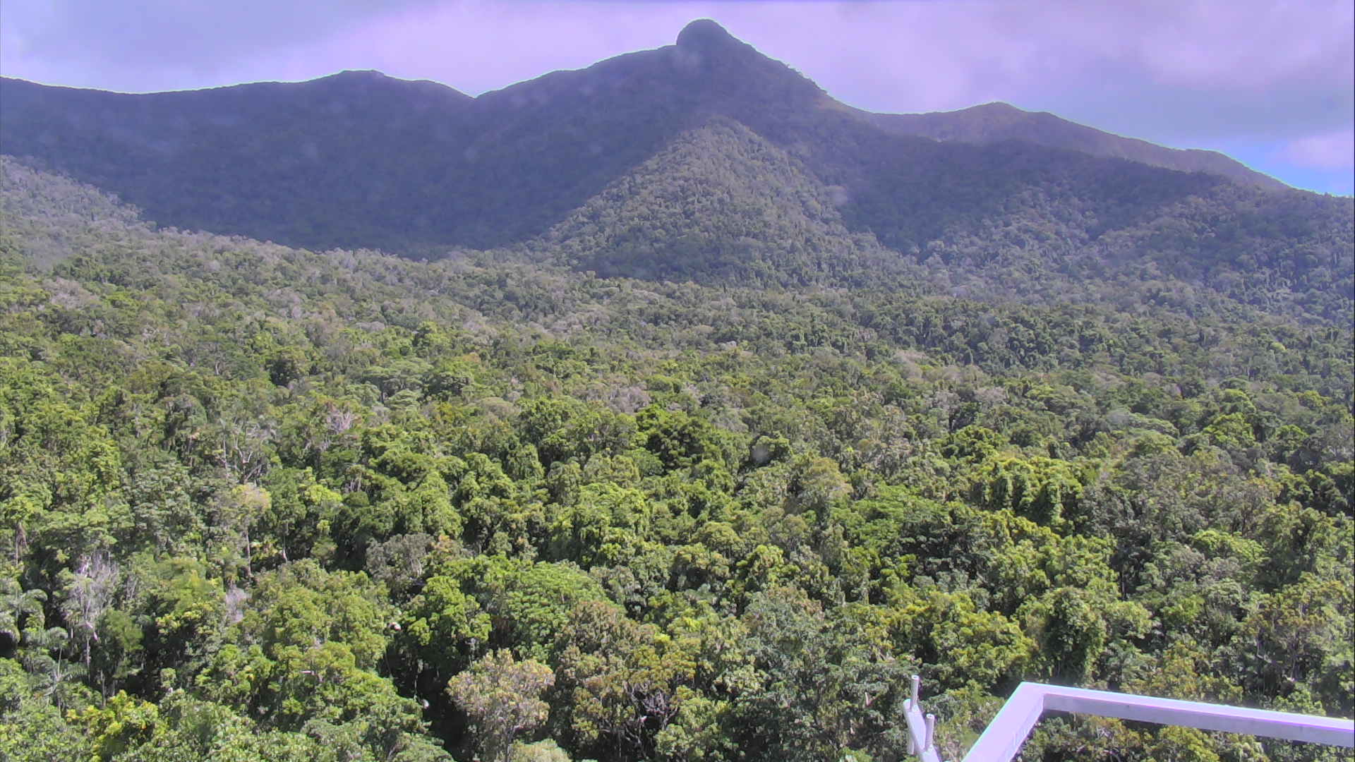 an aerial view of a forest, with tall mountains in the background