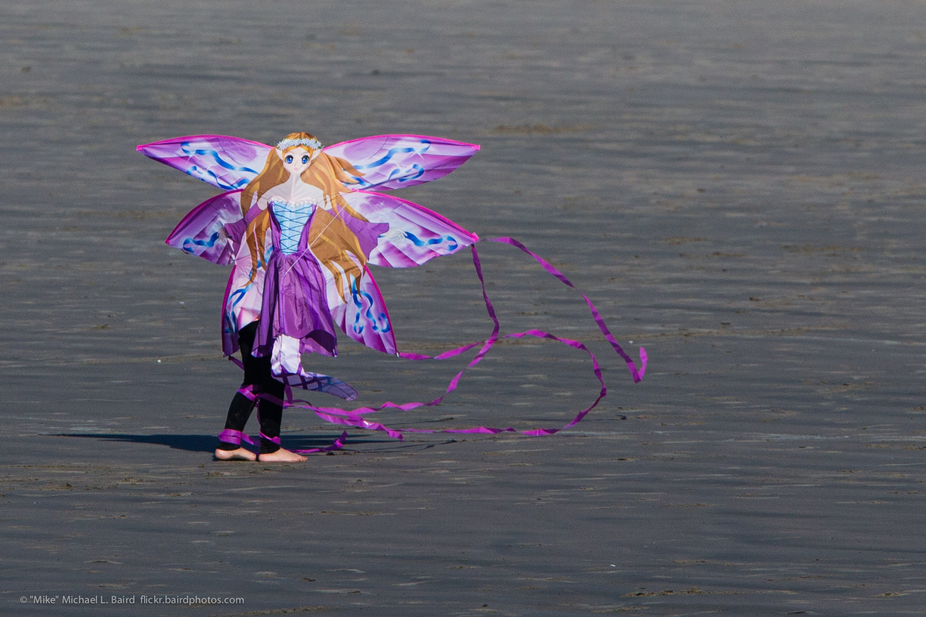 a person holds on to a string attached to a erfly kite