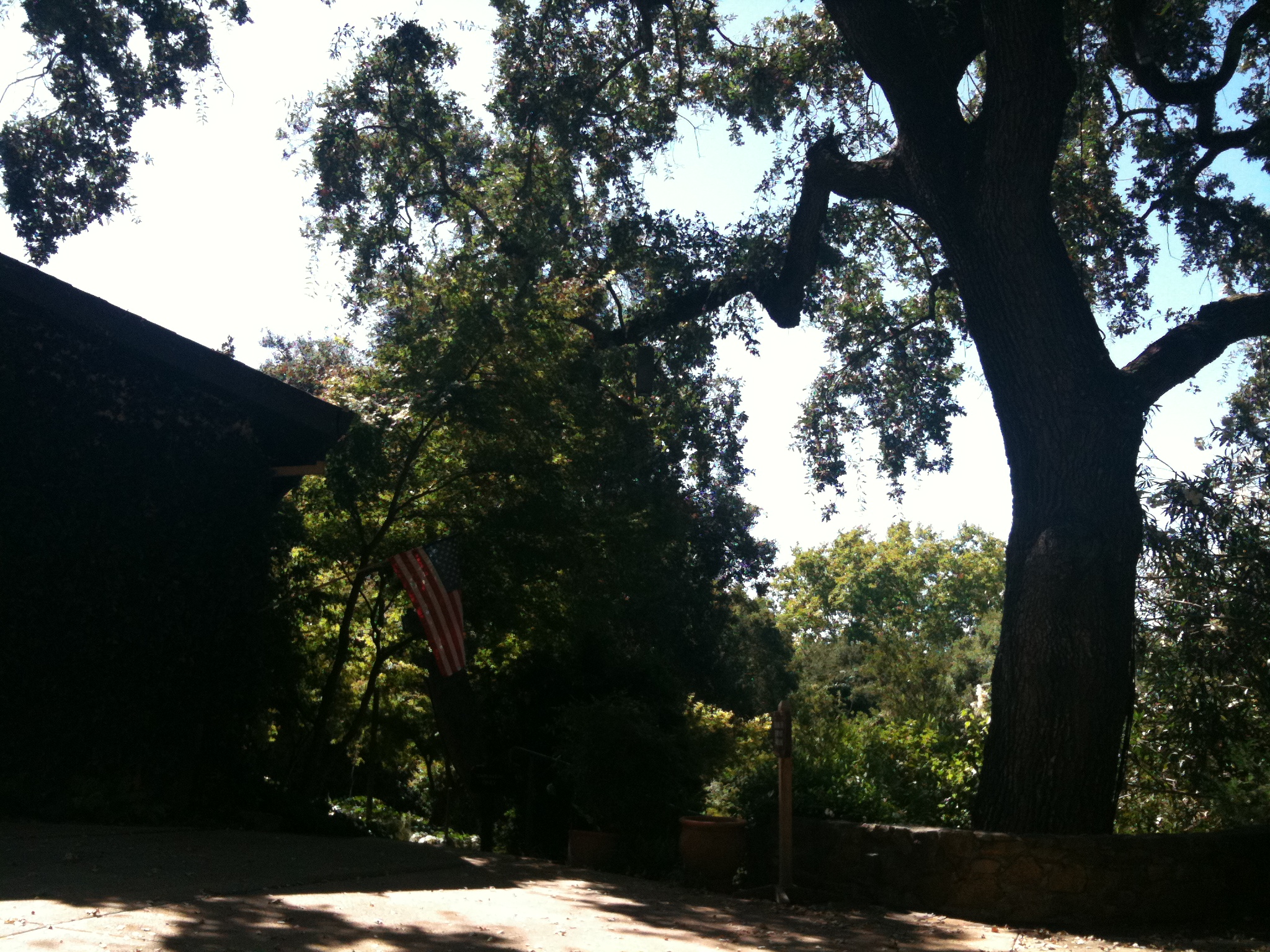 an american flag hangs from a tree near a barn