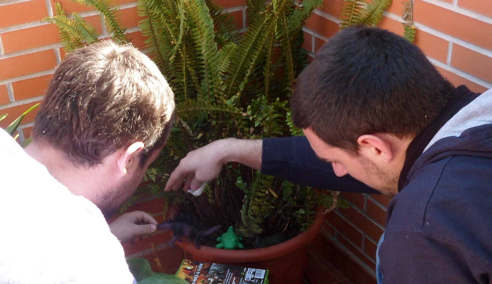 two men looking at a plant inside a pot