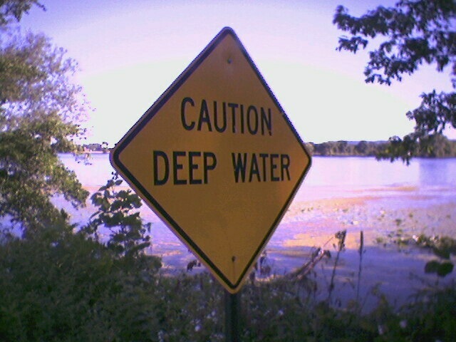 a caution sign by the water with trees and plants