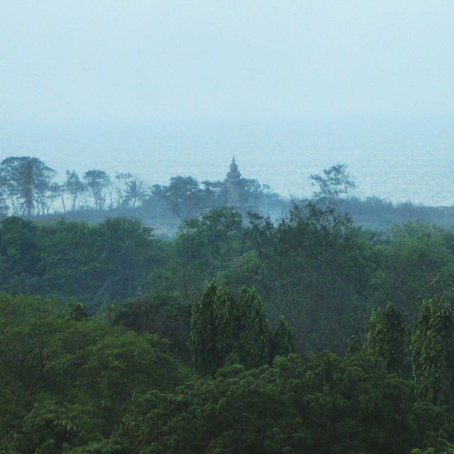 view over green trees from hilltop with tower in the background