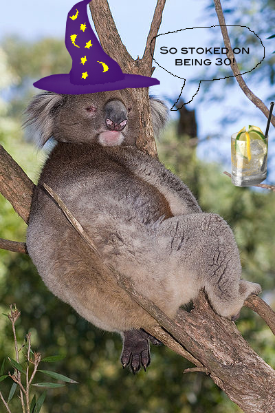 an animal with a purple witch hat on sitting on a nch