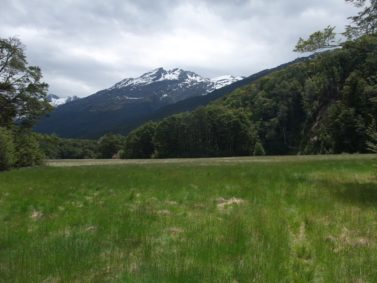 large field with green grass, some rocks and snow