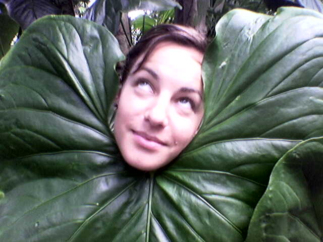 a woman with a giant green leaf over her head