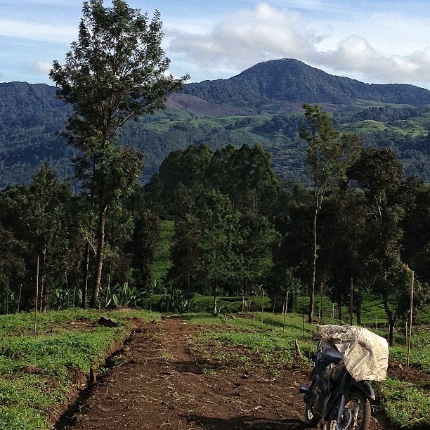 a bicycle is parked on the side of a dirt road