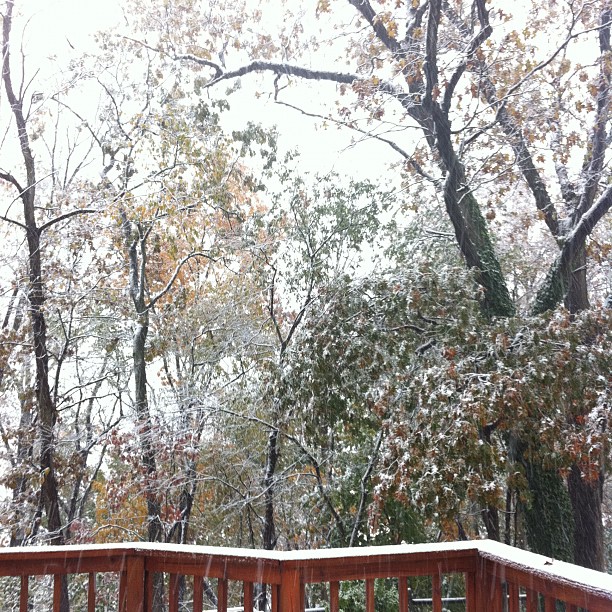 a wooden fence covered in snow near trees