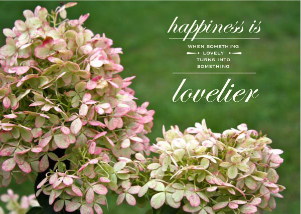 a bunch of pink and white flowers with the words,'happiness is whatever soing new,
