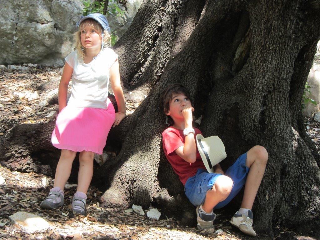 a boy and girl standing next to a tree and a rock