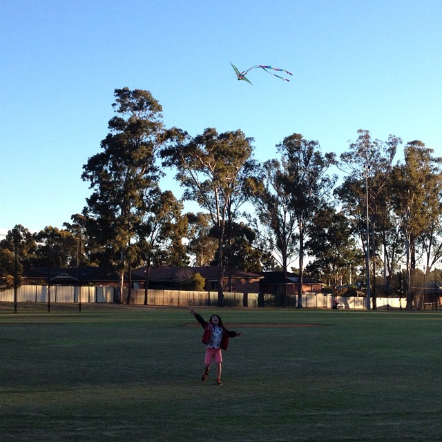 a small child flying a kite in the middle of a field