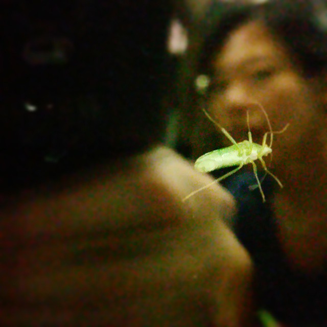 a very large green insect sitting on top of a person