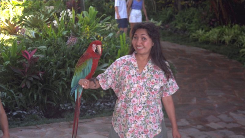 woman holding parrot on arm and walking around a garden