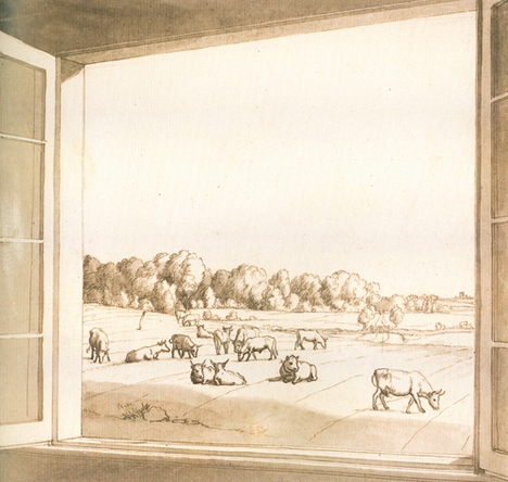 an illustration of a herd of cattle sitting outside of a open window