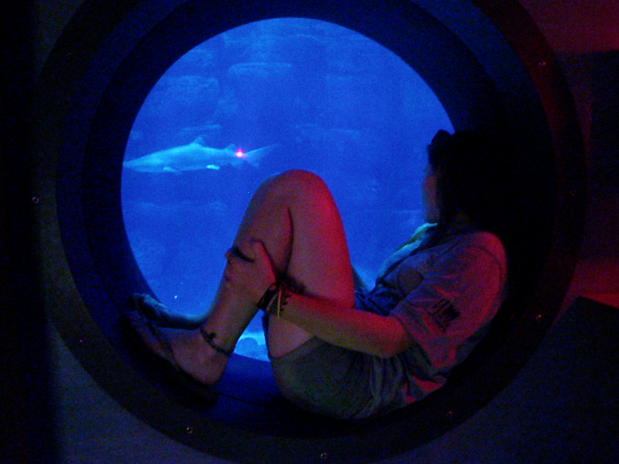 a woman with a backpack sitting in front of an aquarium