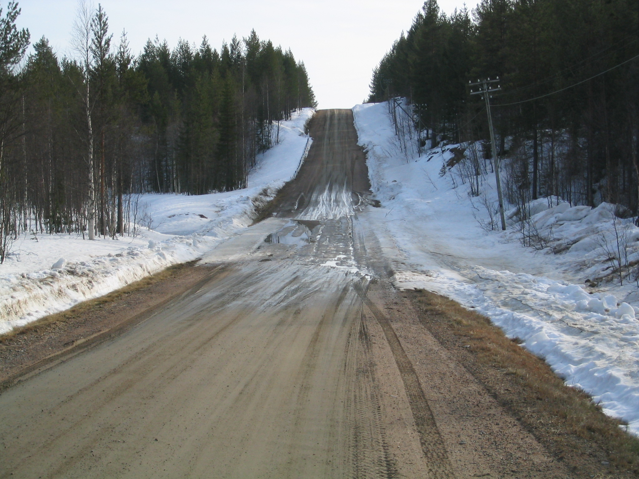 an empty road in winter with trees in the distance