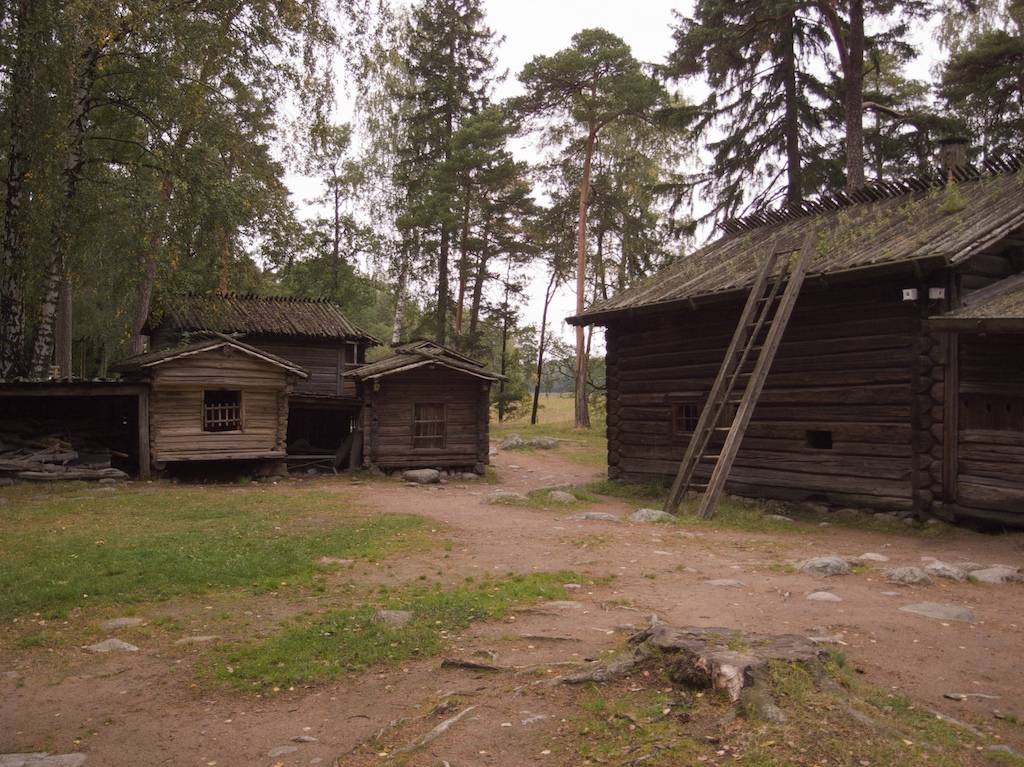 two cabins in a pine forest with grass on the ground and ladders leaning against them