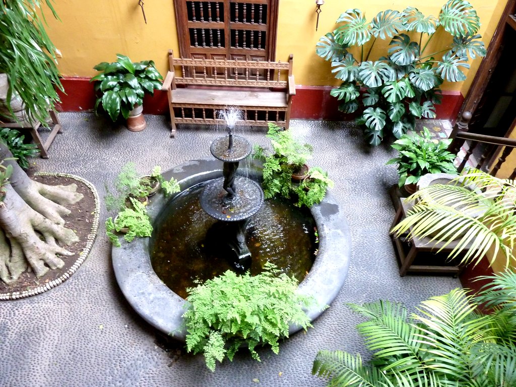 a fountain surrounded by plants in a room