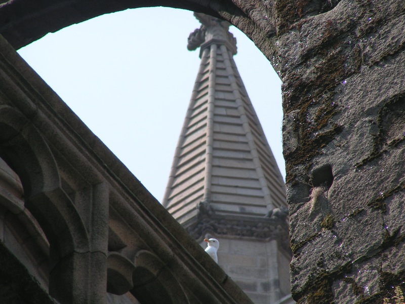a stone church tower and an arch and window