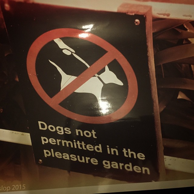 a sign has an interesting saying that warns of dogs not to be permitted