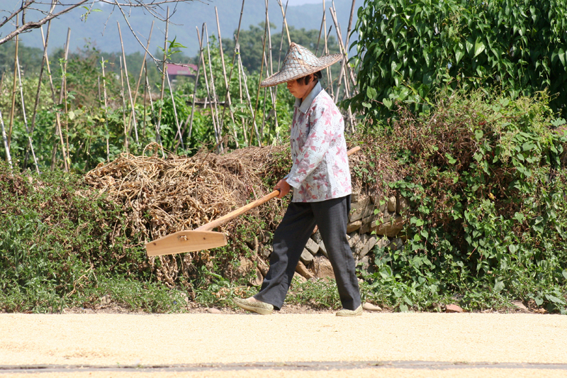 a woman walking past bushes with a broom in her hand