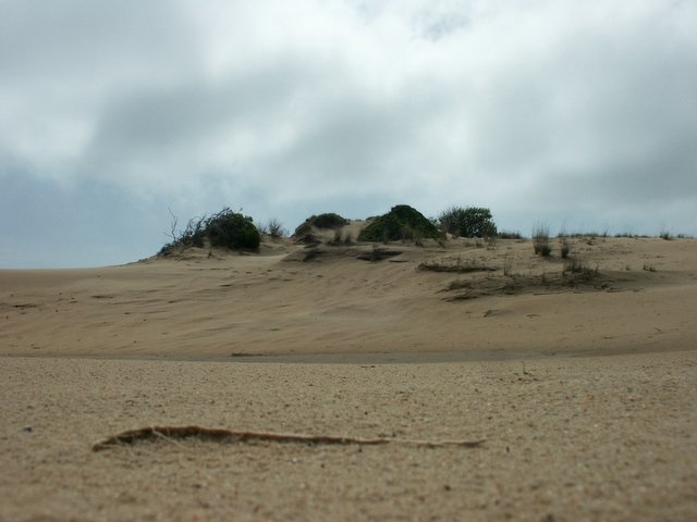 there is a hill in the desert with grass and plants