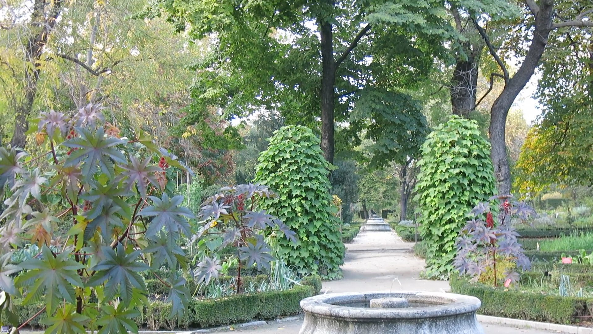 the view into a garden with many bushes and trees