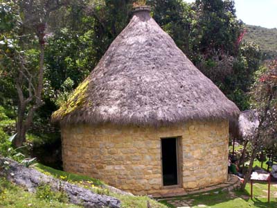 a thatched building in the middle of a jungle area
