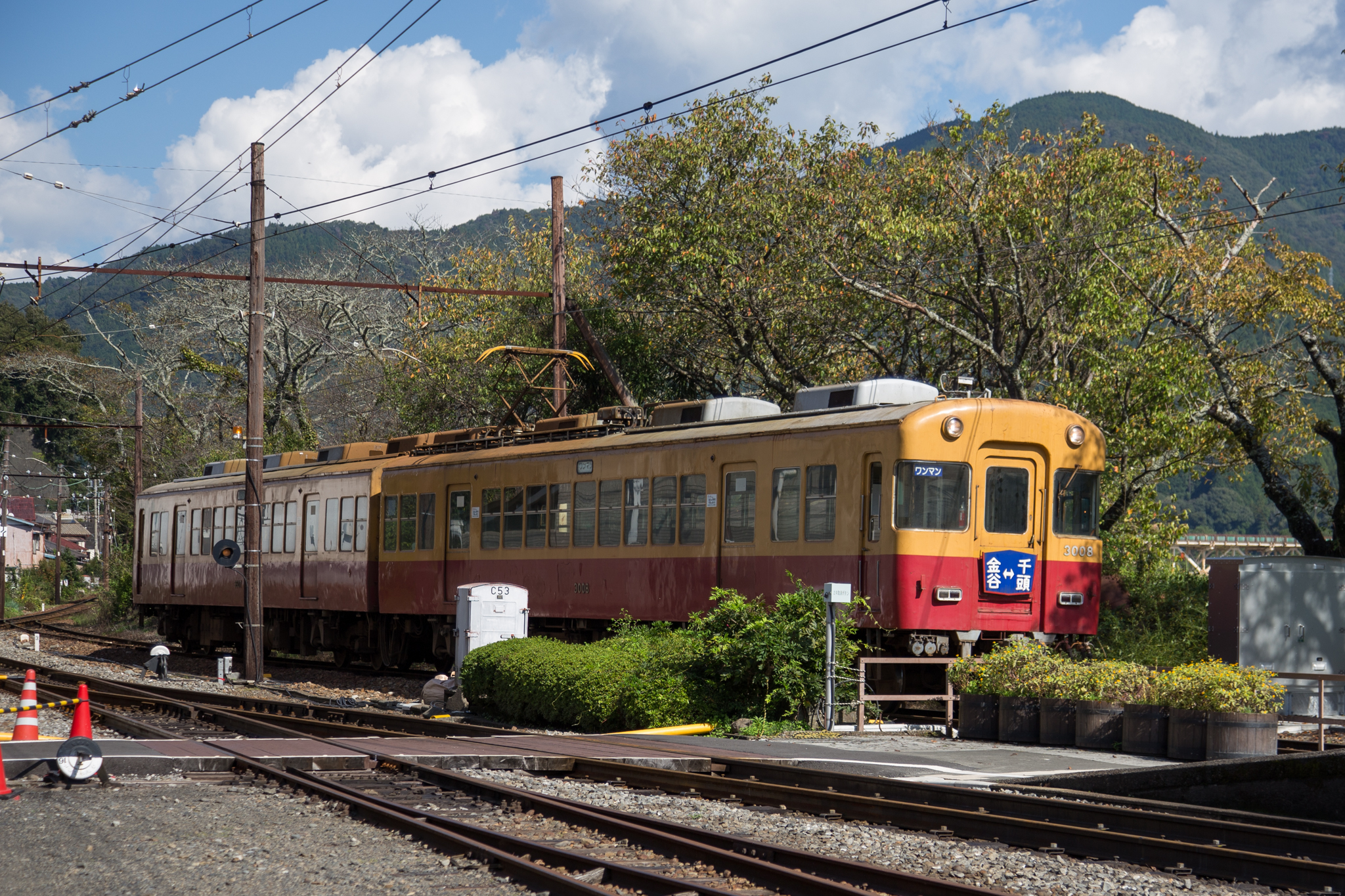 a train is at the end of the tracks in front of trees