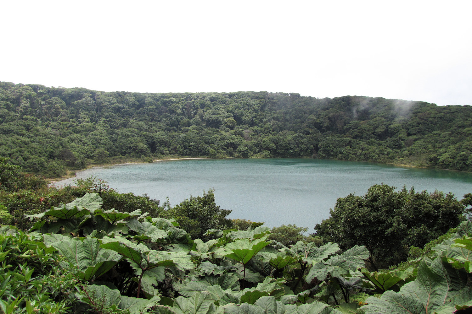 large lake surrounded by lush vegetation with trees around