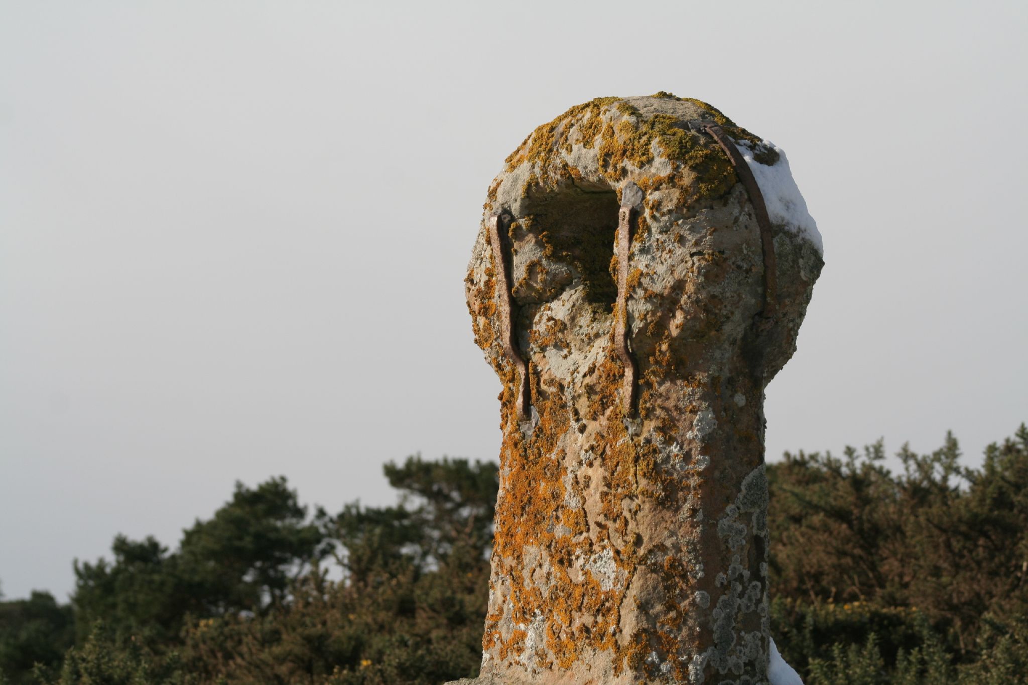 an image of a piece of stone outside