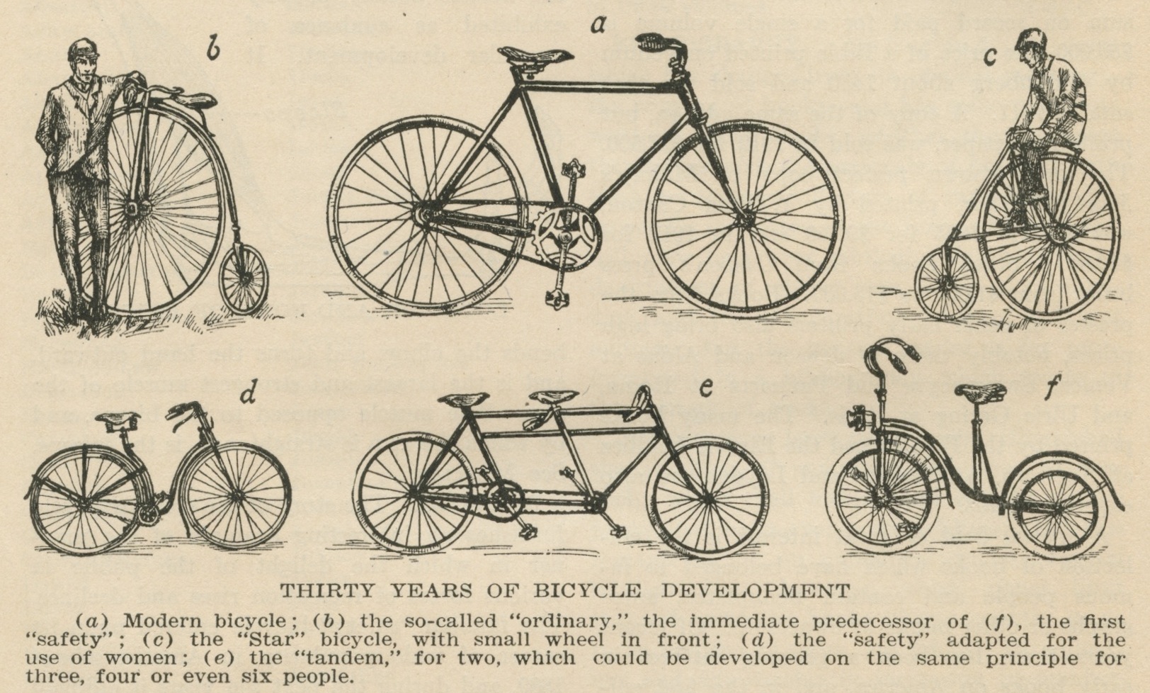 a diagram shows various bicycle styles for people