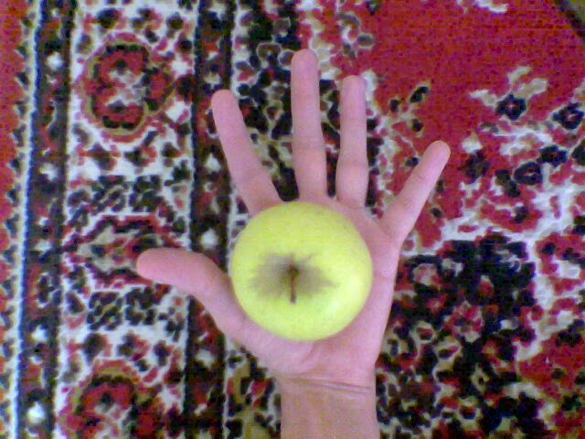 a person holds up a green apple with their palm