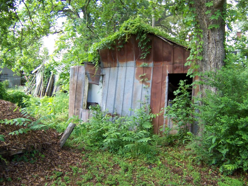 an old shack overgrown by weeds on a dirt lot