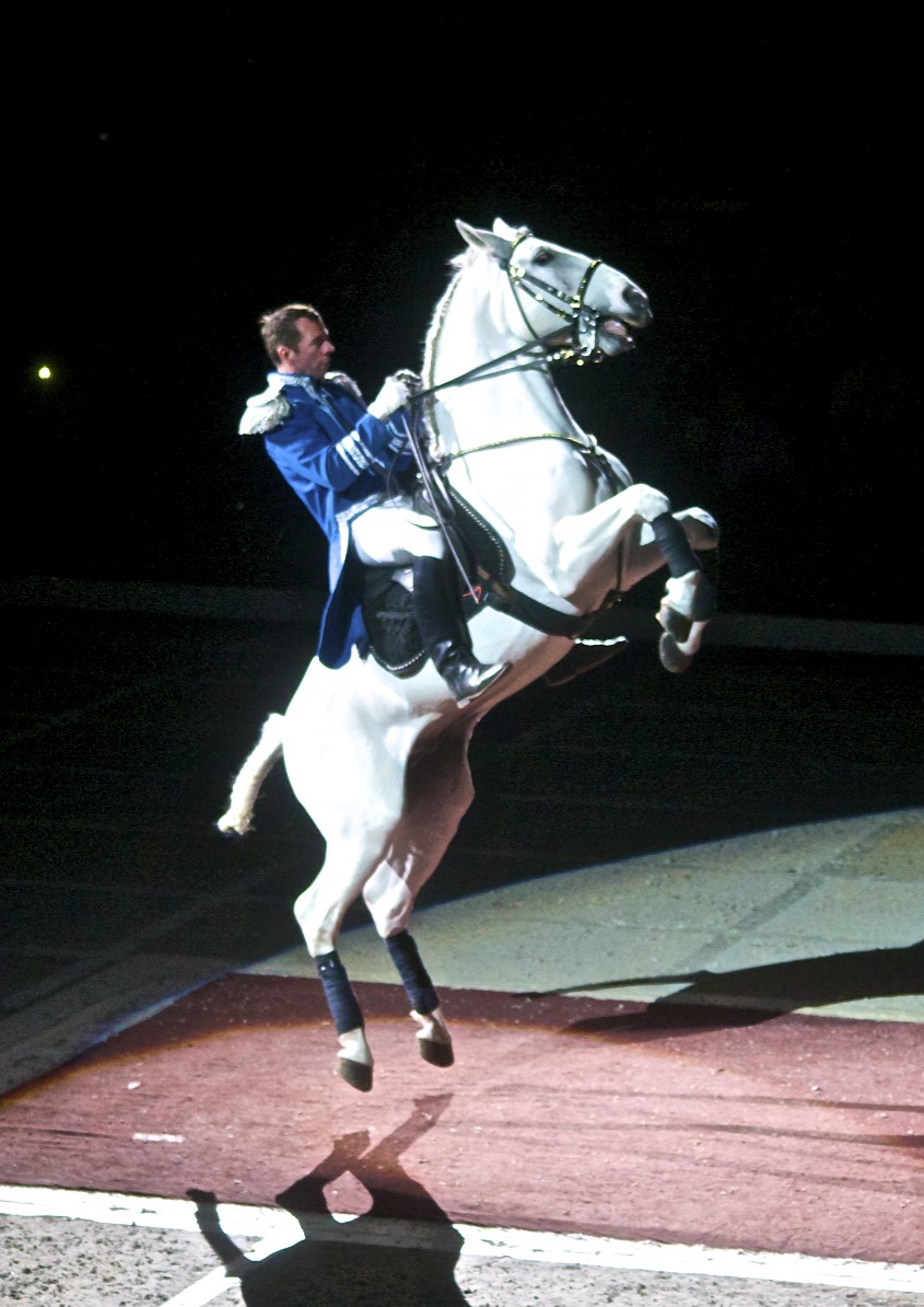 a man is riding on the back of a white horse