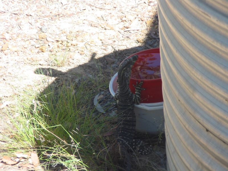 an image of some buckets on the ground