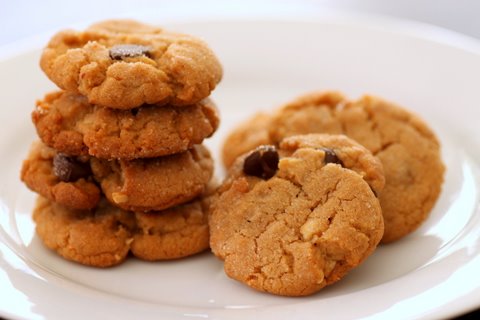 cookies with chocolate chips sit on a white plate