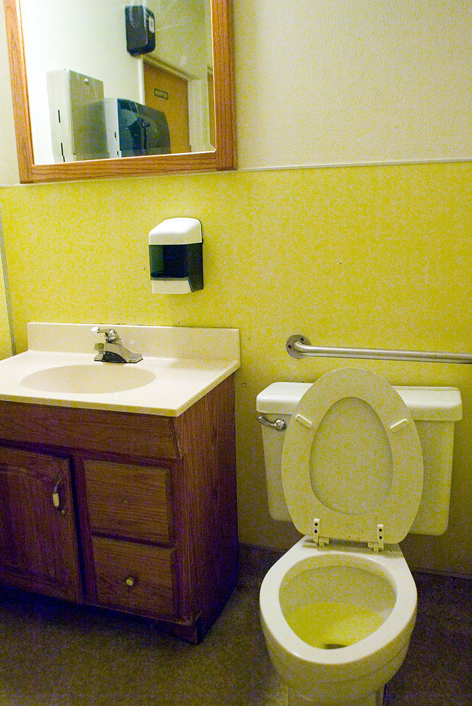 a white toilet sitting under a bathroom mirror