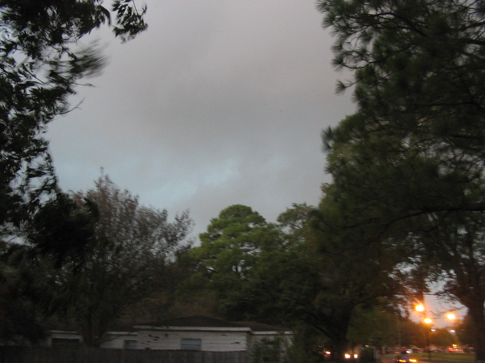 street lights and buildings with trees near by