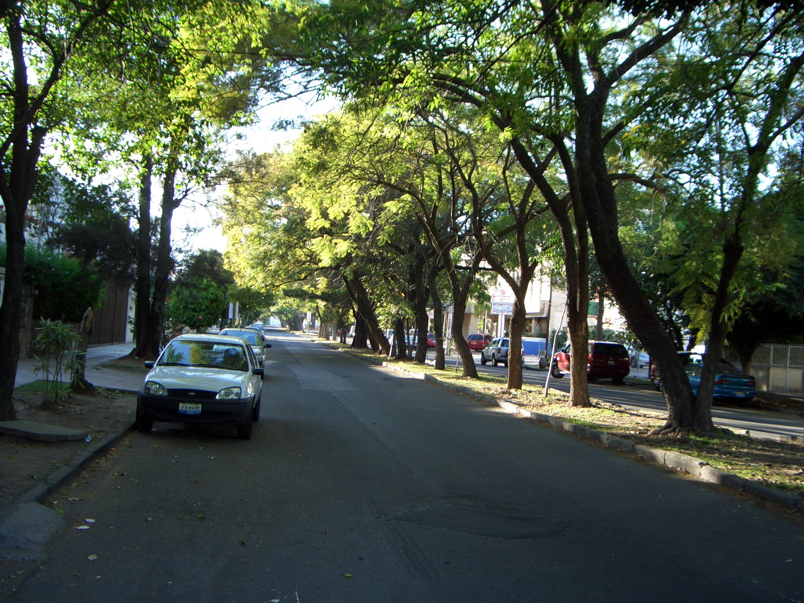 a car is parked along a street lined with trees