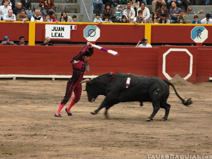 the bull is throwing the baseball bat at the matas