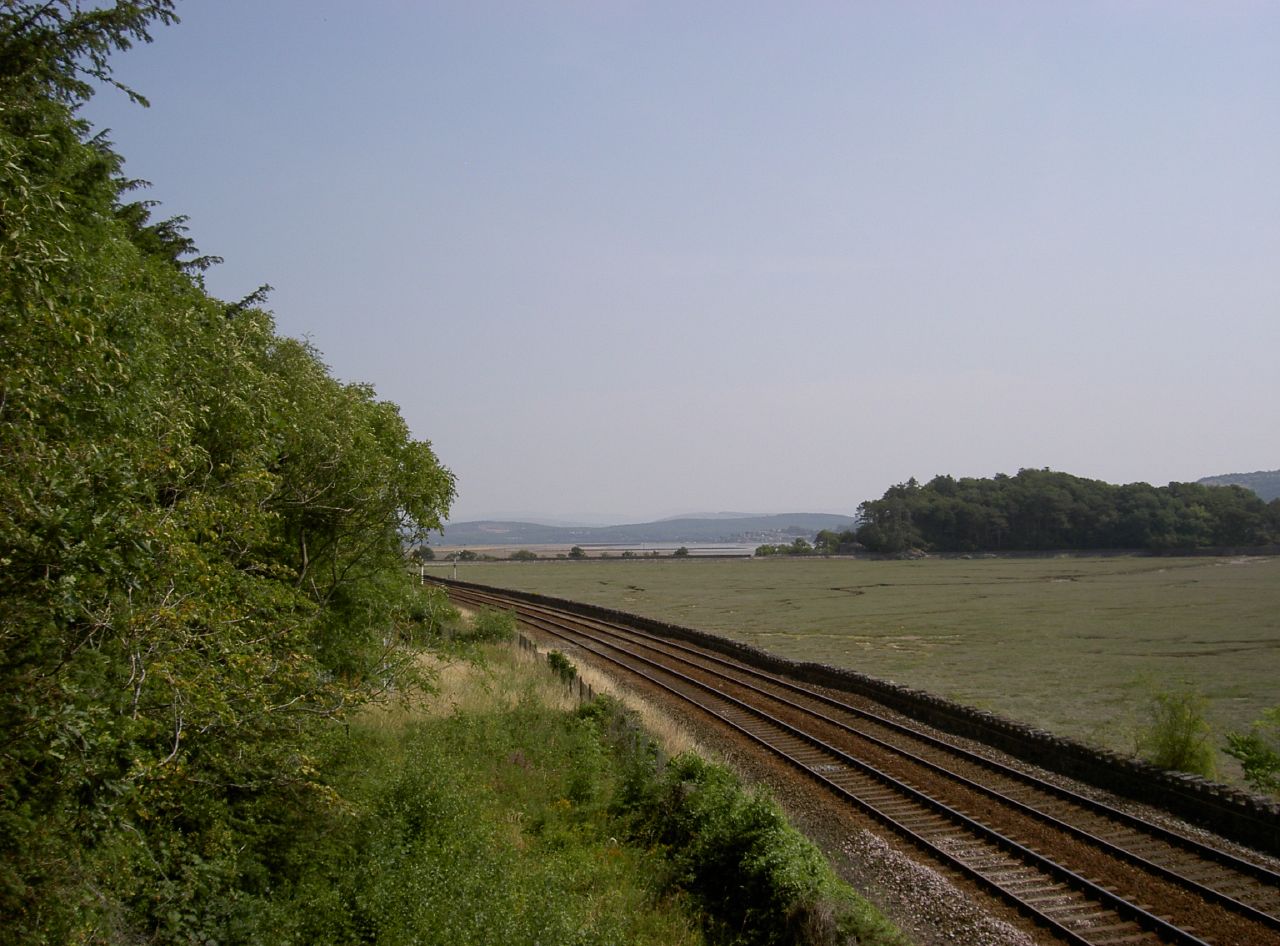 a scenic view of an open grassy field with multiple sets of train tracks