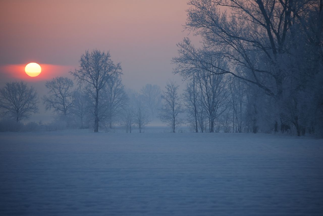 fog covers the trees and a sunset in the distance