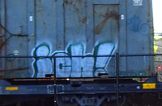 a train with graffiti on the side of it is parked in a rail yard
