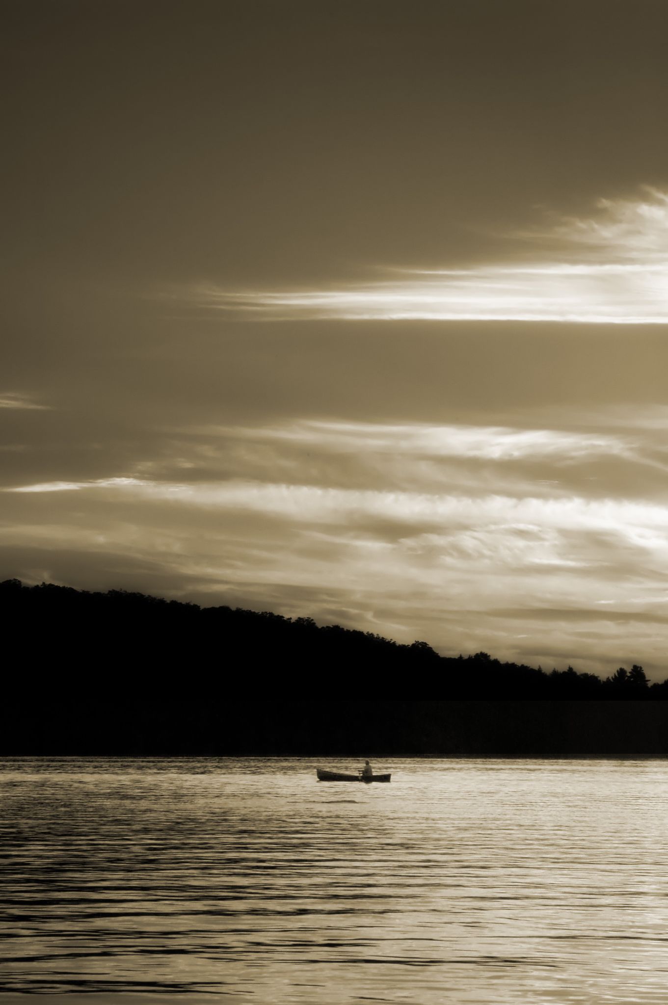 a boat with a canopy flies over the lake