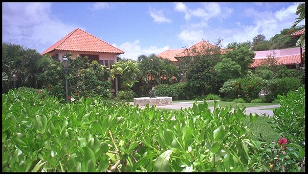 lush green vegetation surrounds a small courtyard