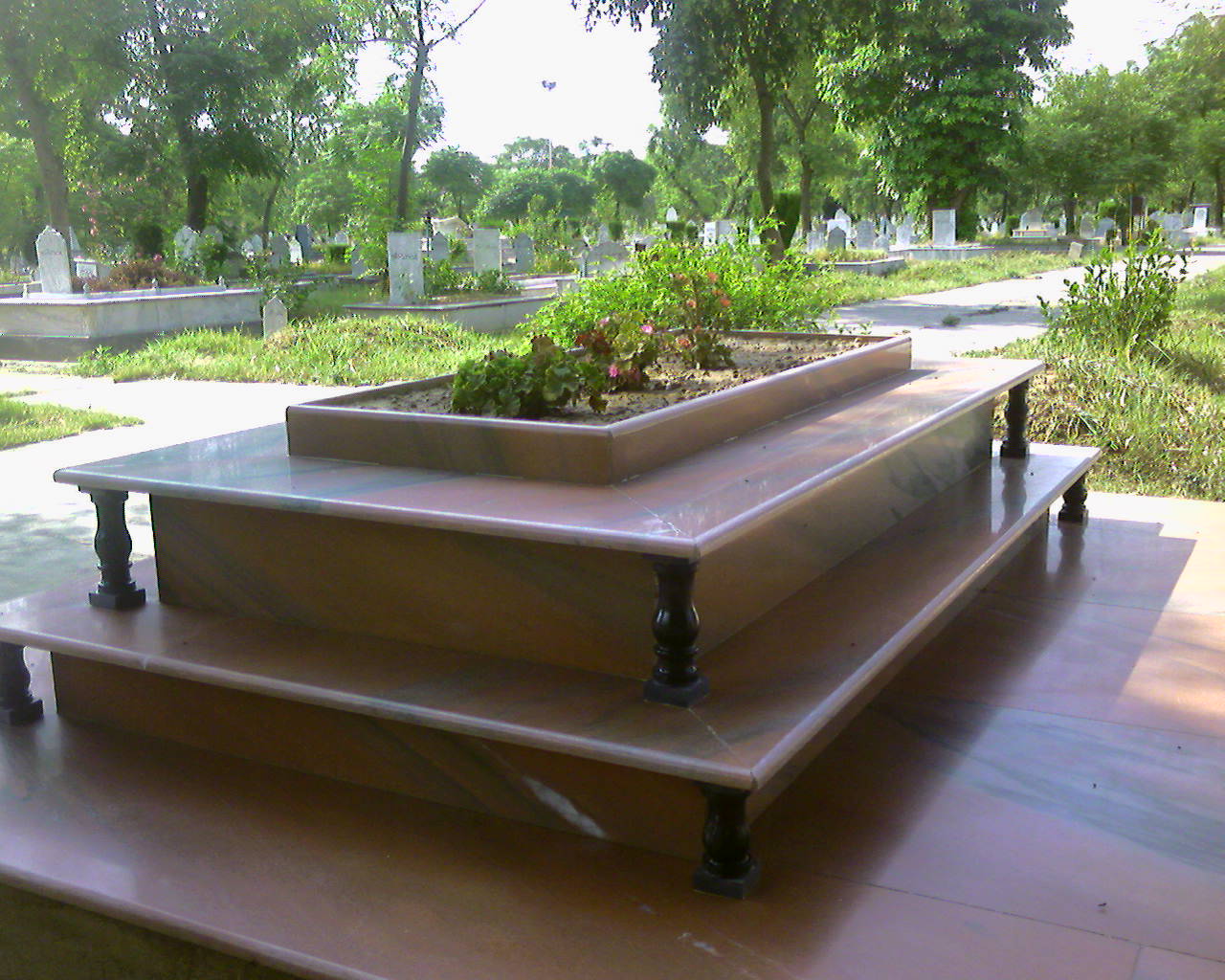 the three benches are decorated with plants