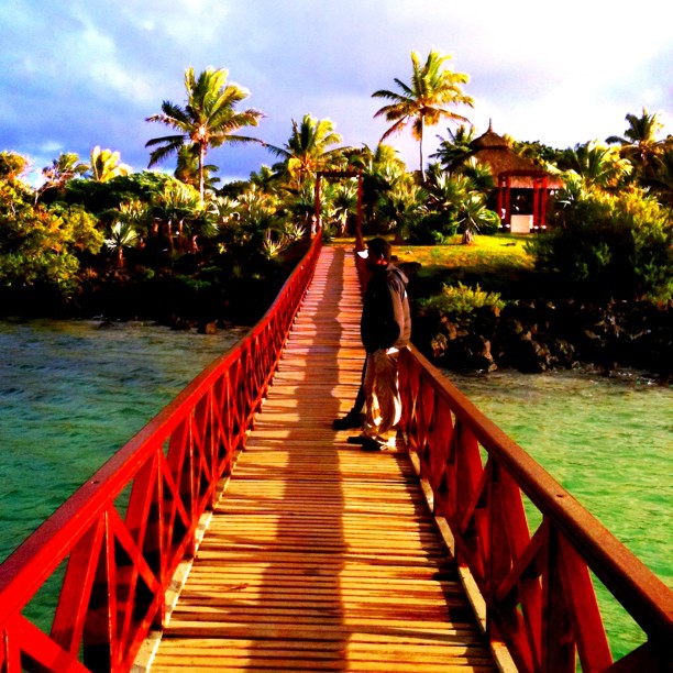 people on a wooden bridge next to water and palm trees